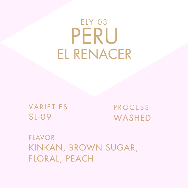 Peru El Renacer SL-9 Washed 50g