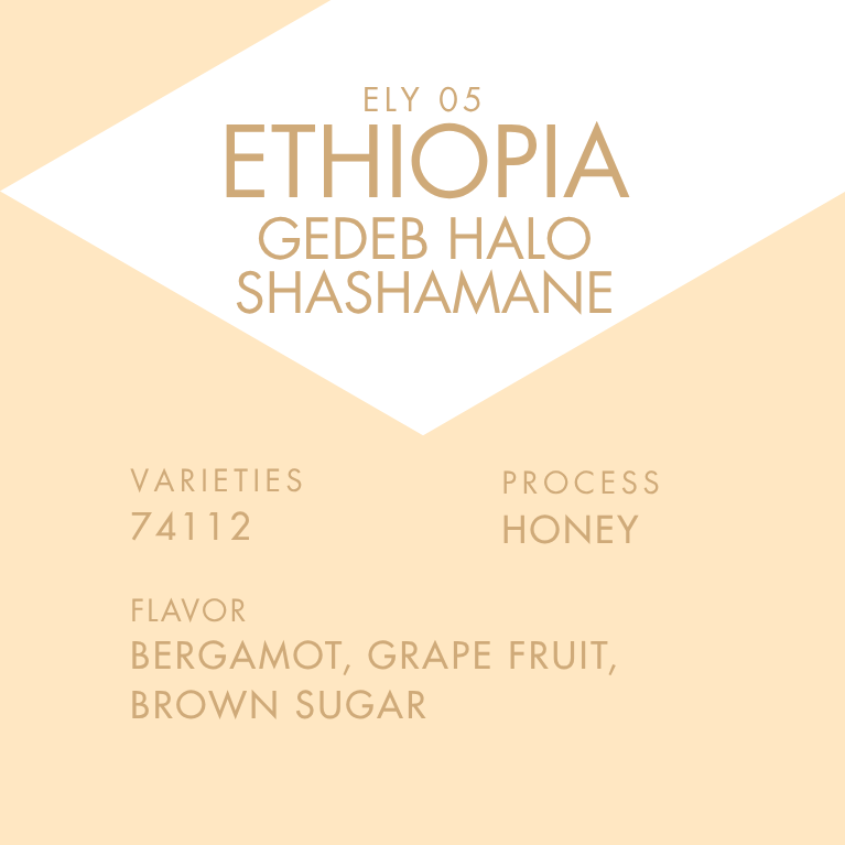 ETHIOPIA GEDEB HALO SHASHAMANE 100g