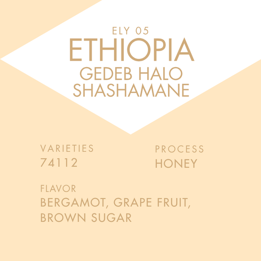 ETHIOPIA GEDEB HALO SHASHAMANE 100g