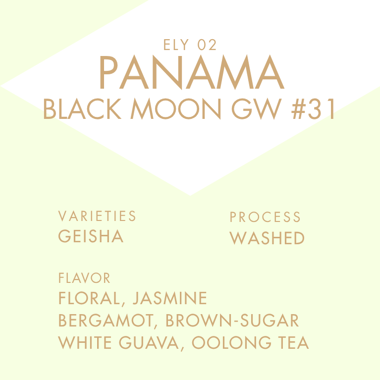 PANAMA BLACK MOON GW #31  30g