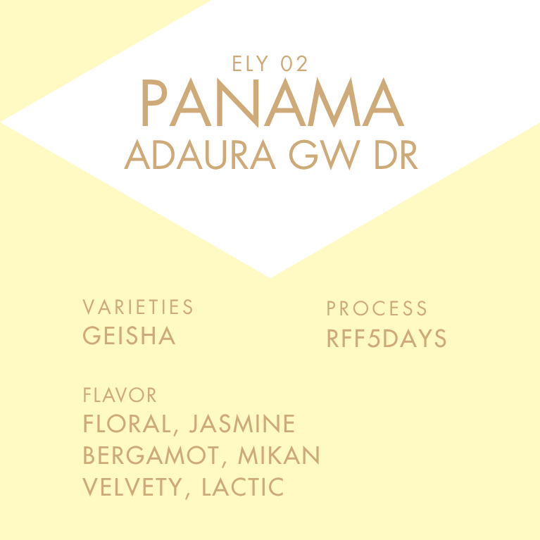 PANAMA ADAURA GW DR 30g