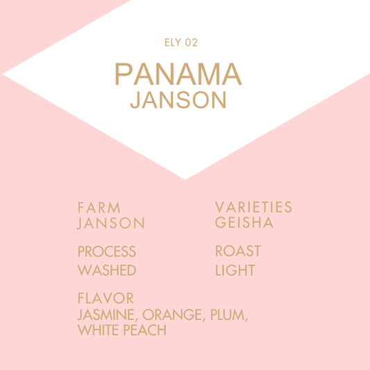 Panama Janson Alpes Geisha 708 Washed 50g