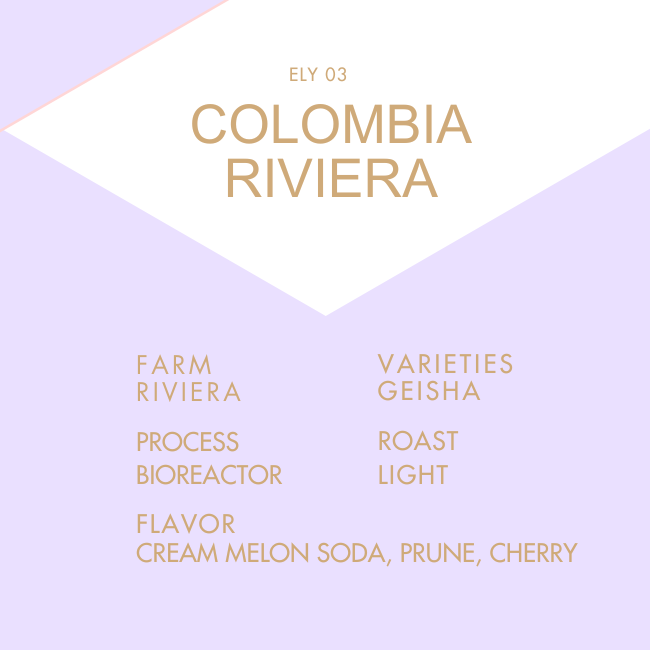 COLOMBIA RIVIERA GEISHA BIOREACTOR 100g