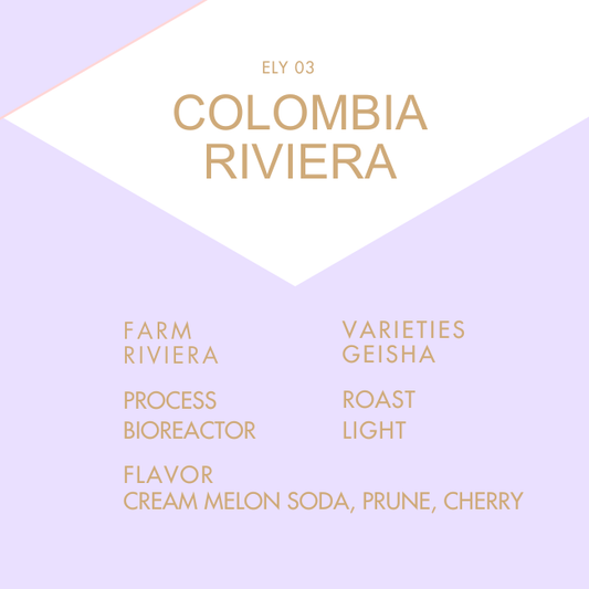 COLOMBIA RIVIERA GEISHA BIOREACTOR 100g