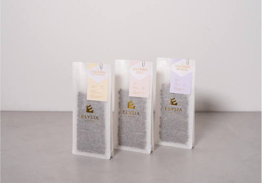 ELYSIA SUBSCRIPTION PLAN
